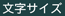 文字サイズ